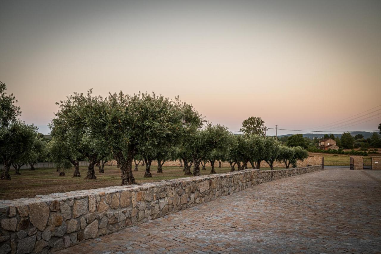 Quinta Das Oliveiras Turismo Rural Hotel Fundao Bagian luar foto